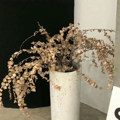 Furry插画构图解析兽圈社群